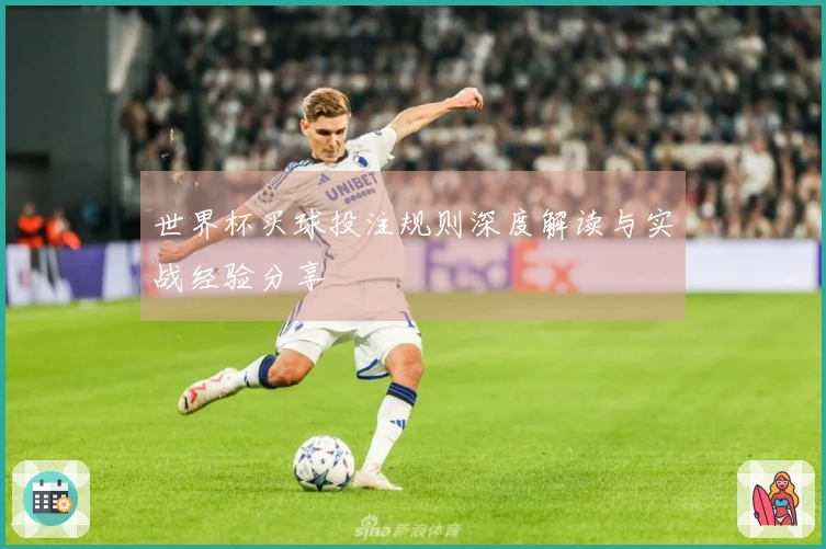 世界杯买球投注规则深度解读与实战经验分享