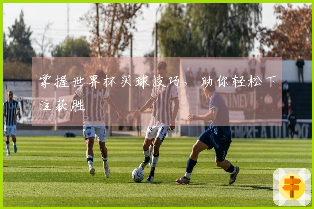 掌握世界杯买球技巧，助你轻松下注获胜