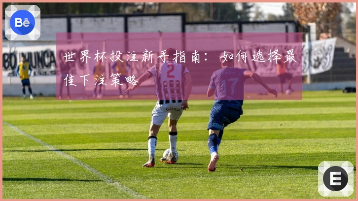 世界杯投注新手指南：如何选择最佳下注策略