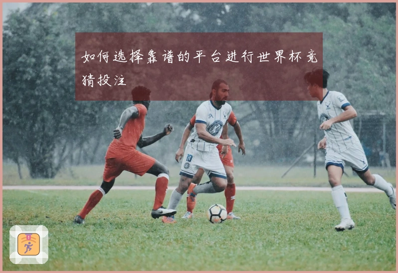 如何选择靠谱的平台进行世界杯竞猜投注