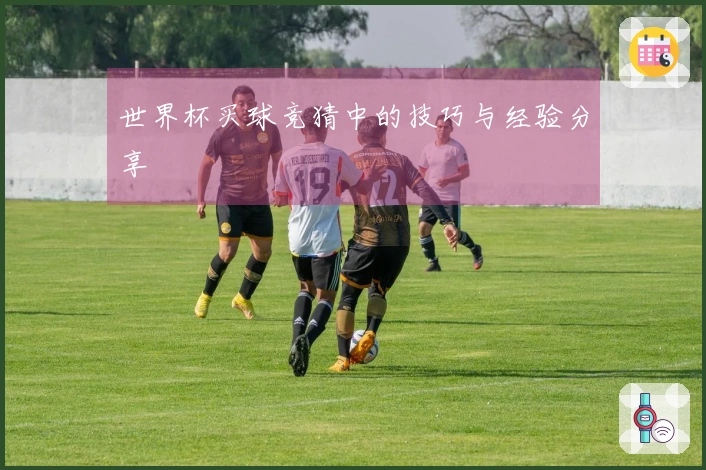 世界杯买球竞猜中的技巧与经验分享