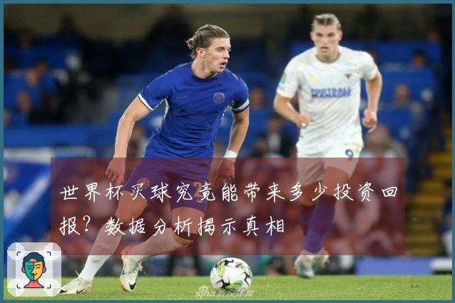 世界杯买球究竟能带来多少投资回报？数据分析揭示真相