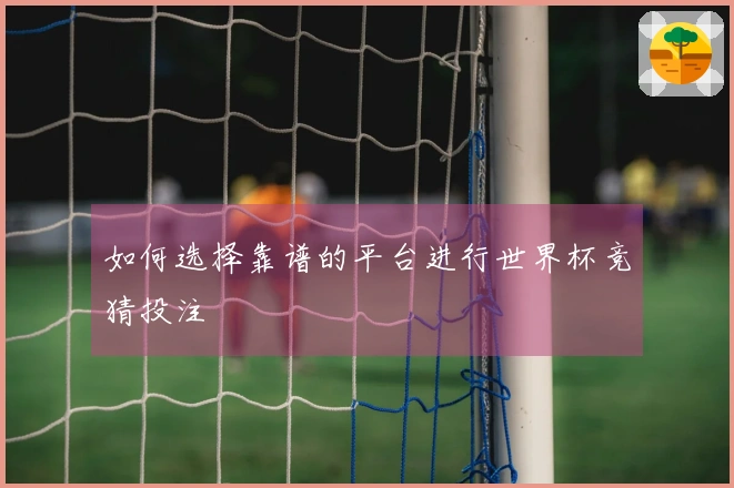 如何选择靠谱的平台进行世界杯竞猜投注