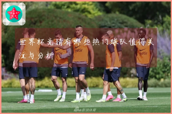 世界杯竞猜有哪些热门球队值得关注与分析