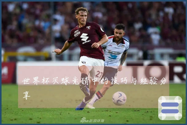 世界杯买球竞猜中的技巧与经验分享