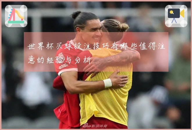 世界杯买球投注技巧有哪些值得注意的经验与分析