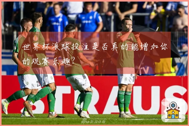 世界杯滚球投注是否真的能增加你的观赛乐趣？